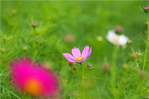 班级群名称(精选300个)